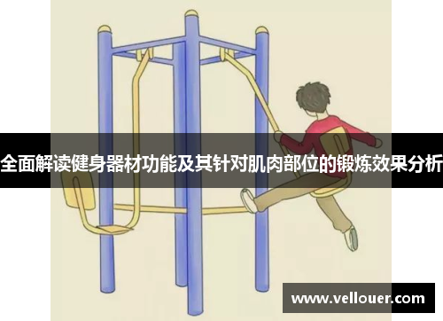 全面解读健身器材功能及其针对肌肉部位的锻炼效果分析