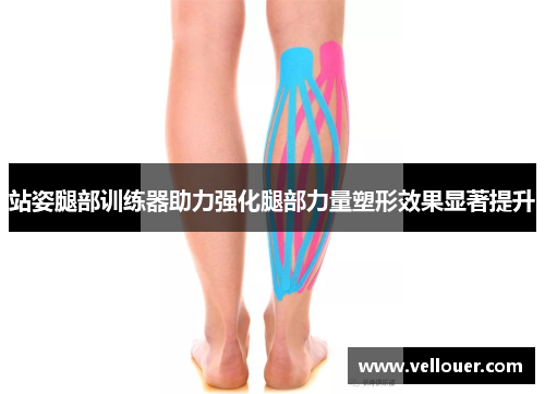 站姿腿部训练器助力强化腿部力量塑形效果显著提升
