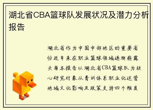 湖北省CBA篮球队发展状况及潜力分析报告