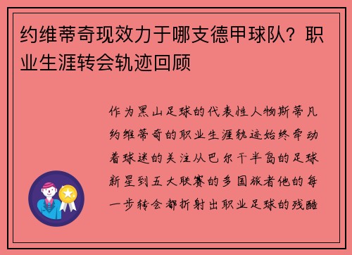约维蒂奇现效力于哪支德甲球队？职业生涯转会轨迹回顾